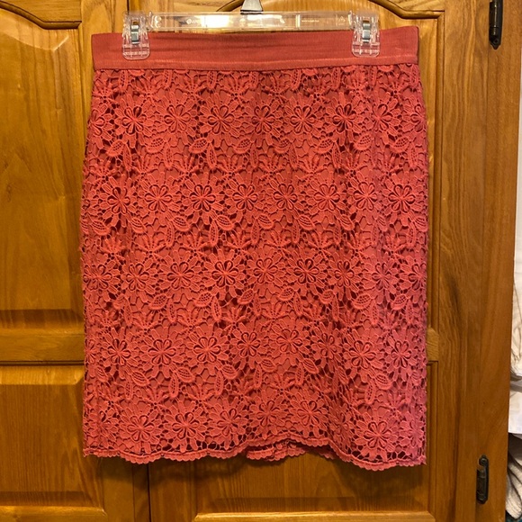 20” length.  Vintage Ann T lace skirt.  Fully lined - Picture 1 of 6